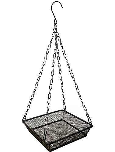 Crow Bird Feeder