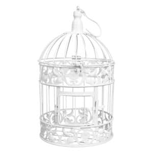 Decorative Bird Cages for Plants