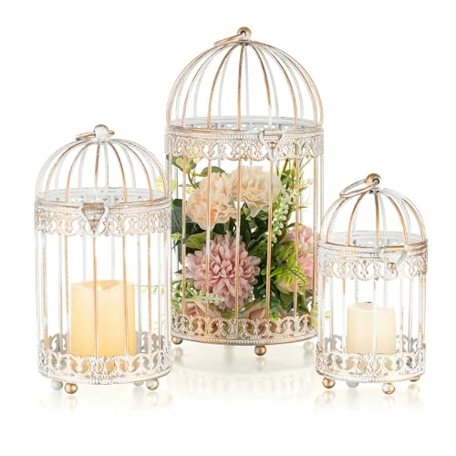 Decorative Bird Cages