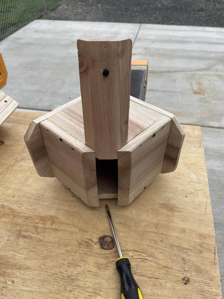 Do Bird Houses Need a Perch