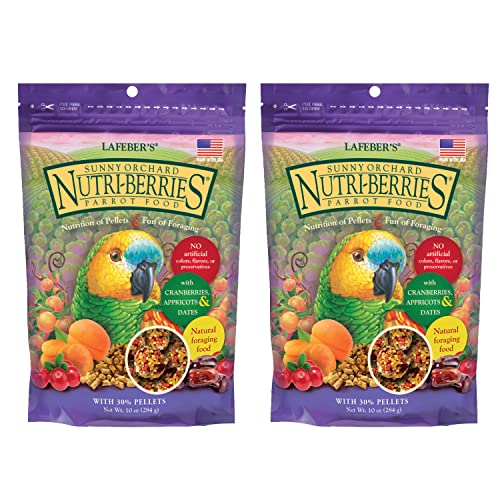 Do Birds Eat Cranberries
