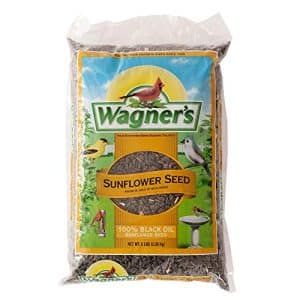 Do Birds Eat Sunflower Seeds