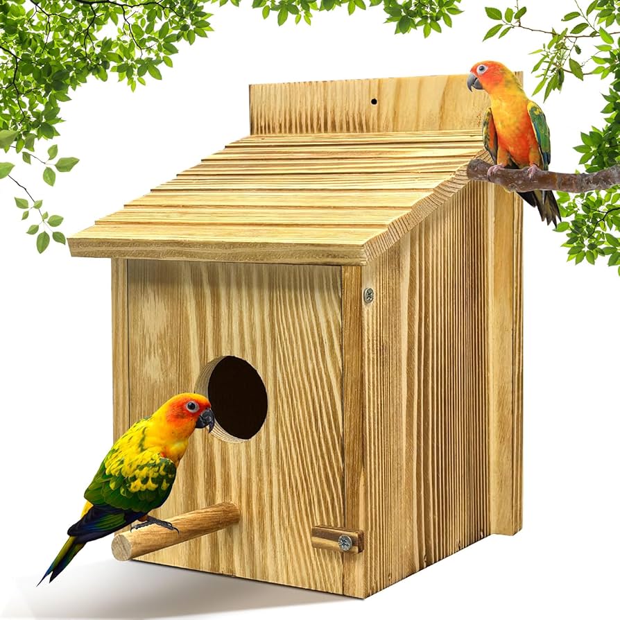 Do Birds Need a Perch on a Bird House