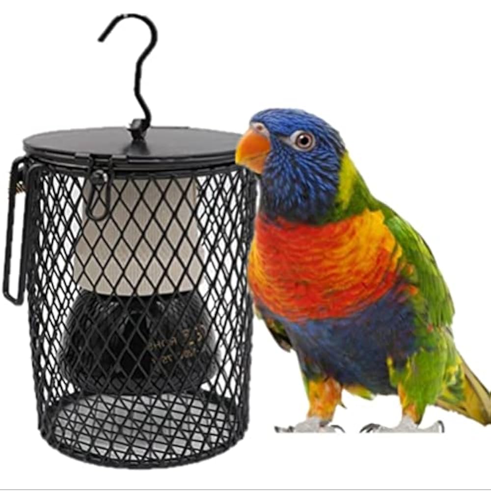 Do Birds Need Heat Lamps in Winter