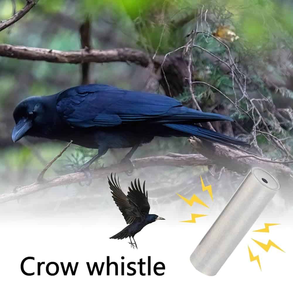 Do Calls Attract Birds