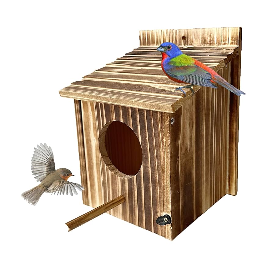 Do Cardinals Use Bird Houses