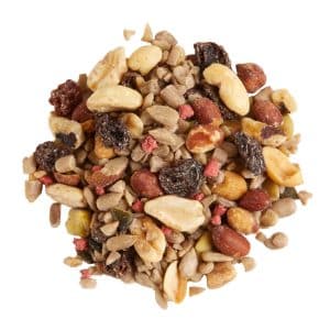 Does Bird Seed Have Nuts