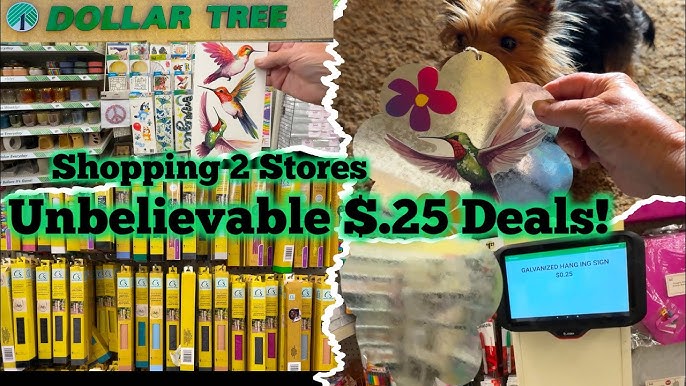 Does Dollar General Sell Bird Seed