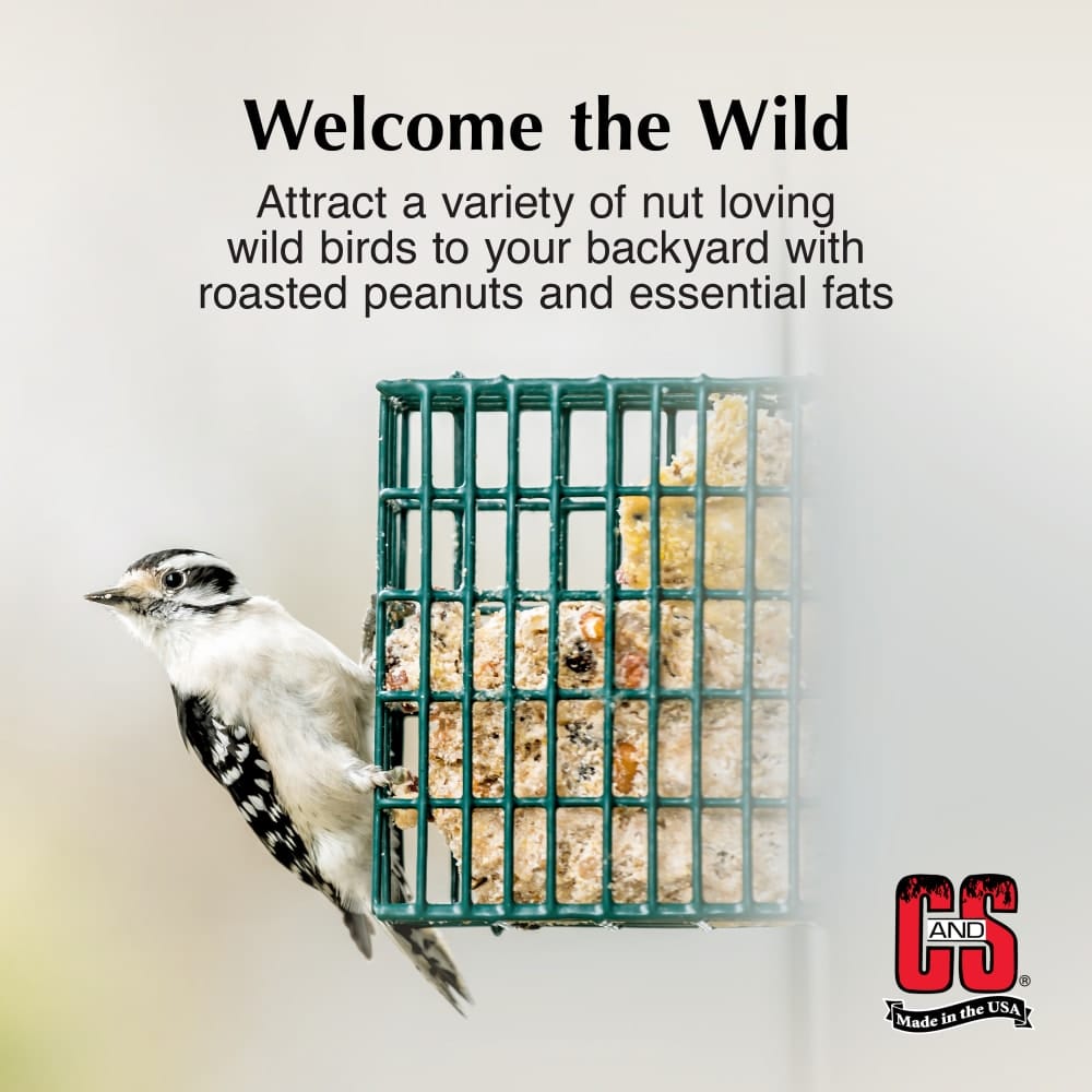 Does Suet Attract Birds