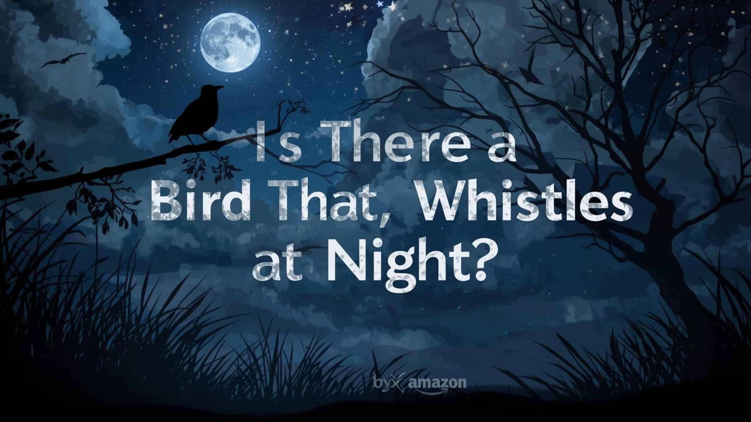 Is There a Bird That Whistles at Night?