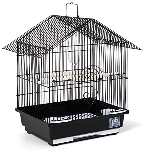 Finch Bird Cage