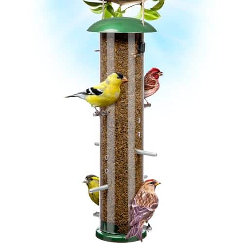 Finch Bird Feeder