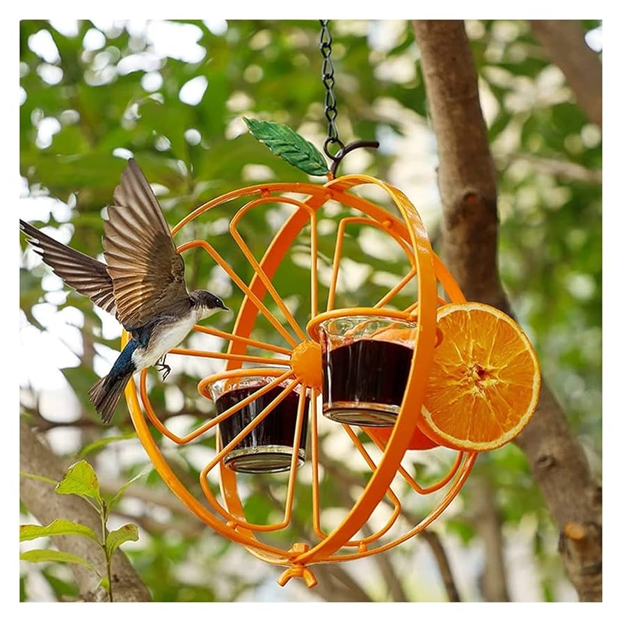 Fruit Feeders to Attract Birds