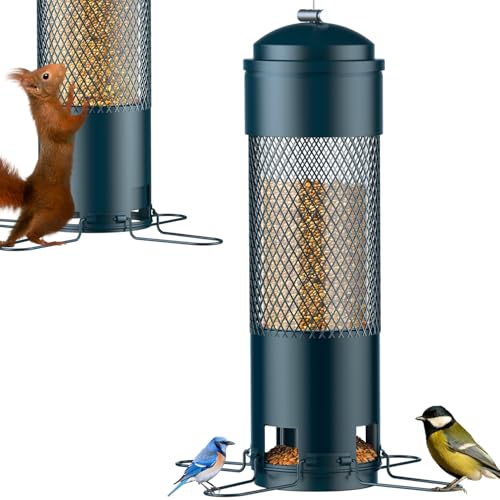 Grosbeak Bird Feeder