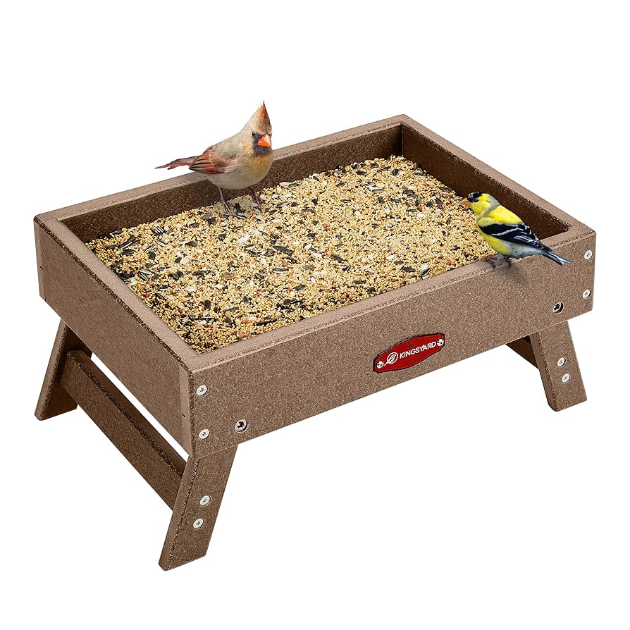 Ground Feeders to Attract Birds