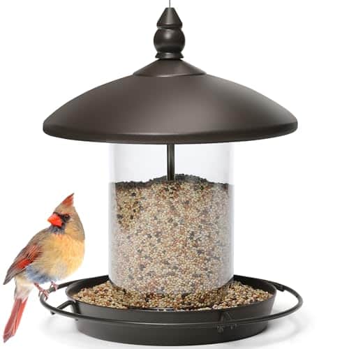 Hopper Bird Feeder
