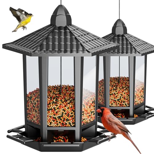 House Finch Bird Feeder
