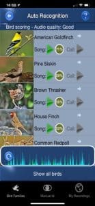 How Can I Identify a Bird by Its Song