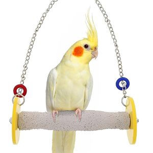How Do I Choose the Right Bird Swing And Perch