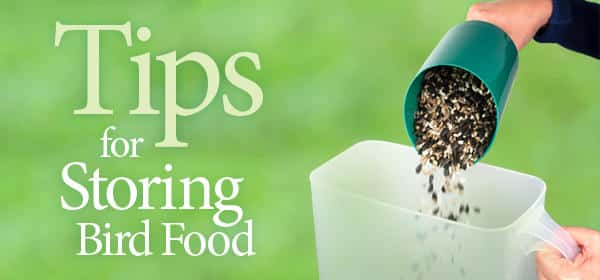 How Long Does Bird Seed Stay Fresh