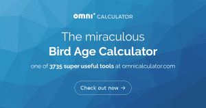 How Much Bird Years in a Human Year