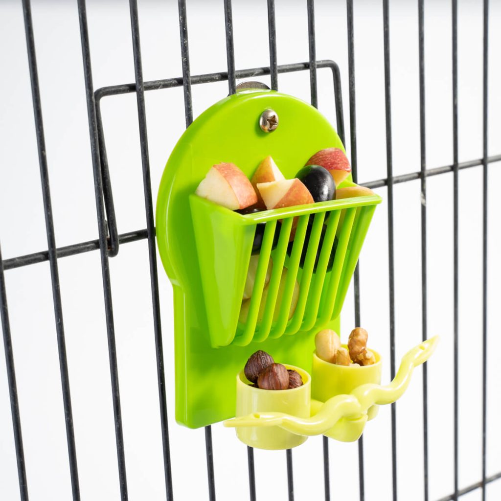 How to Attach Piece of Fruit to Bird Cage