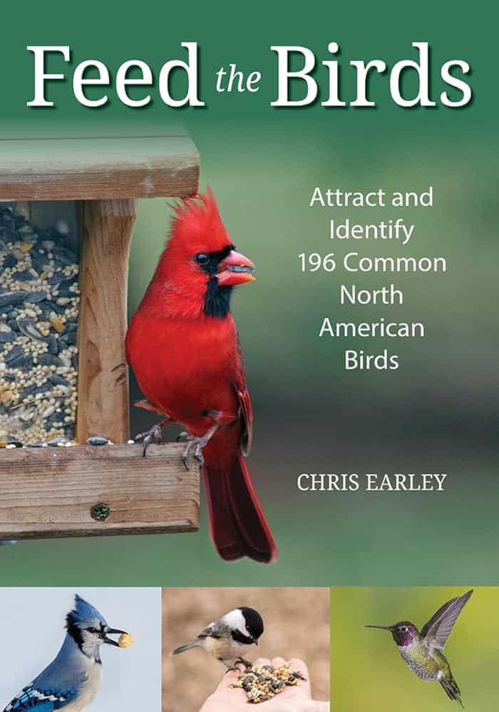 How to Attract Backyard Birds