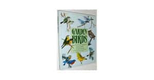 How to Attract Birds to Garden