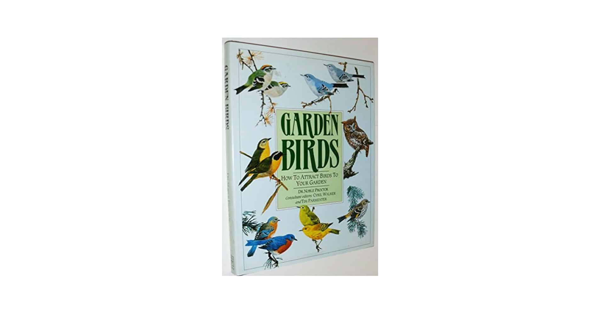 How to Attract Birds to Garden
