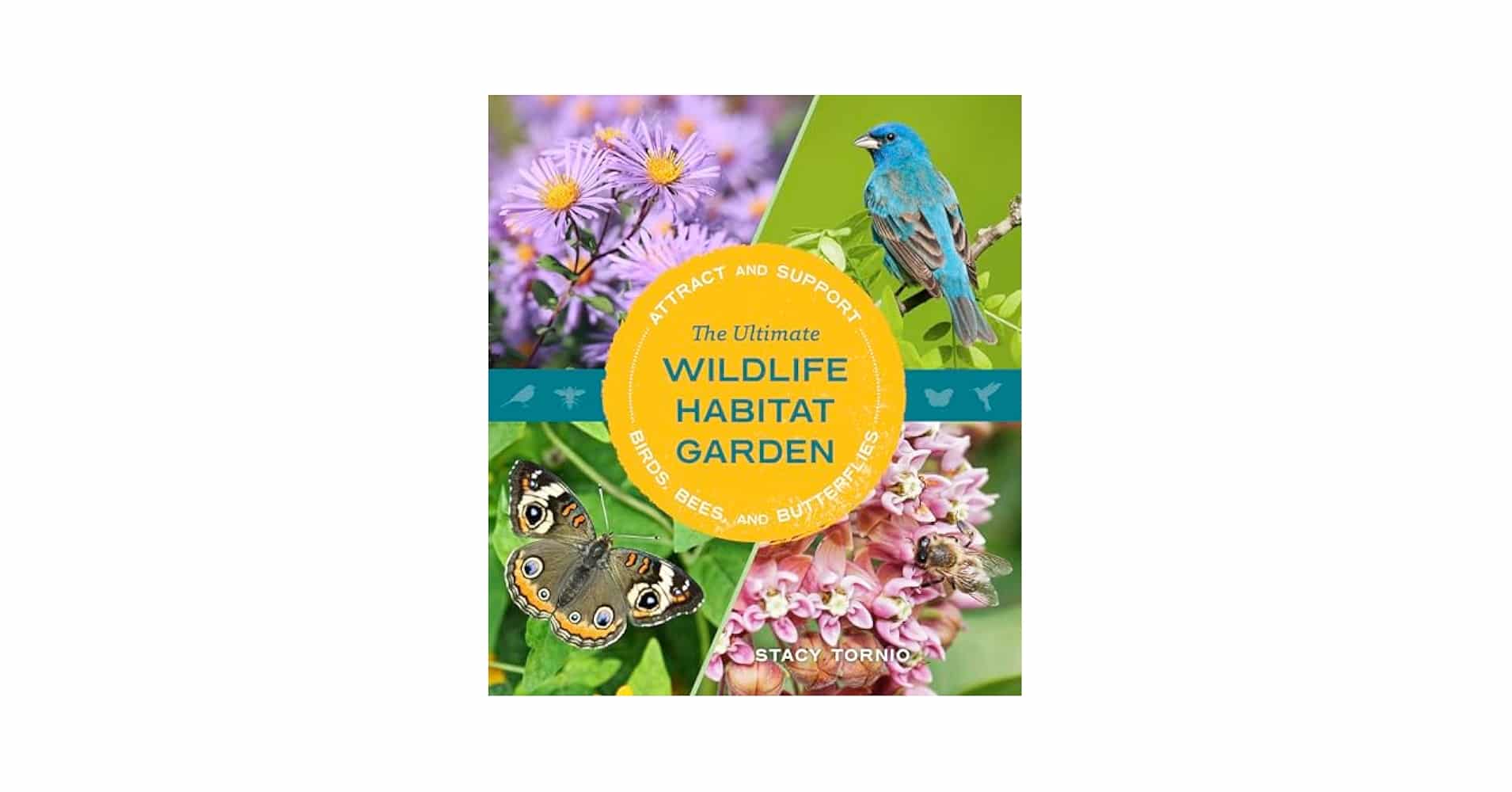 How to Attract Birds to Wildlife Habitat