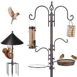 How to Attract Birds With Multiple Feeders