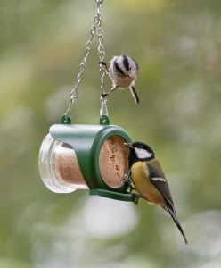 How to Attract Birds With Peanut Butter