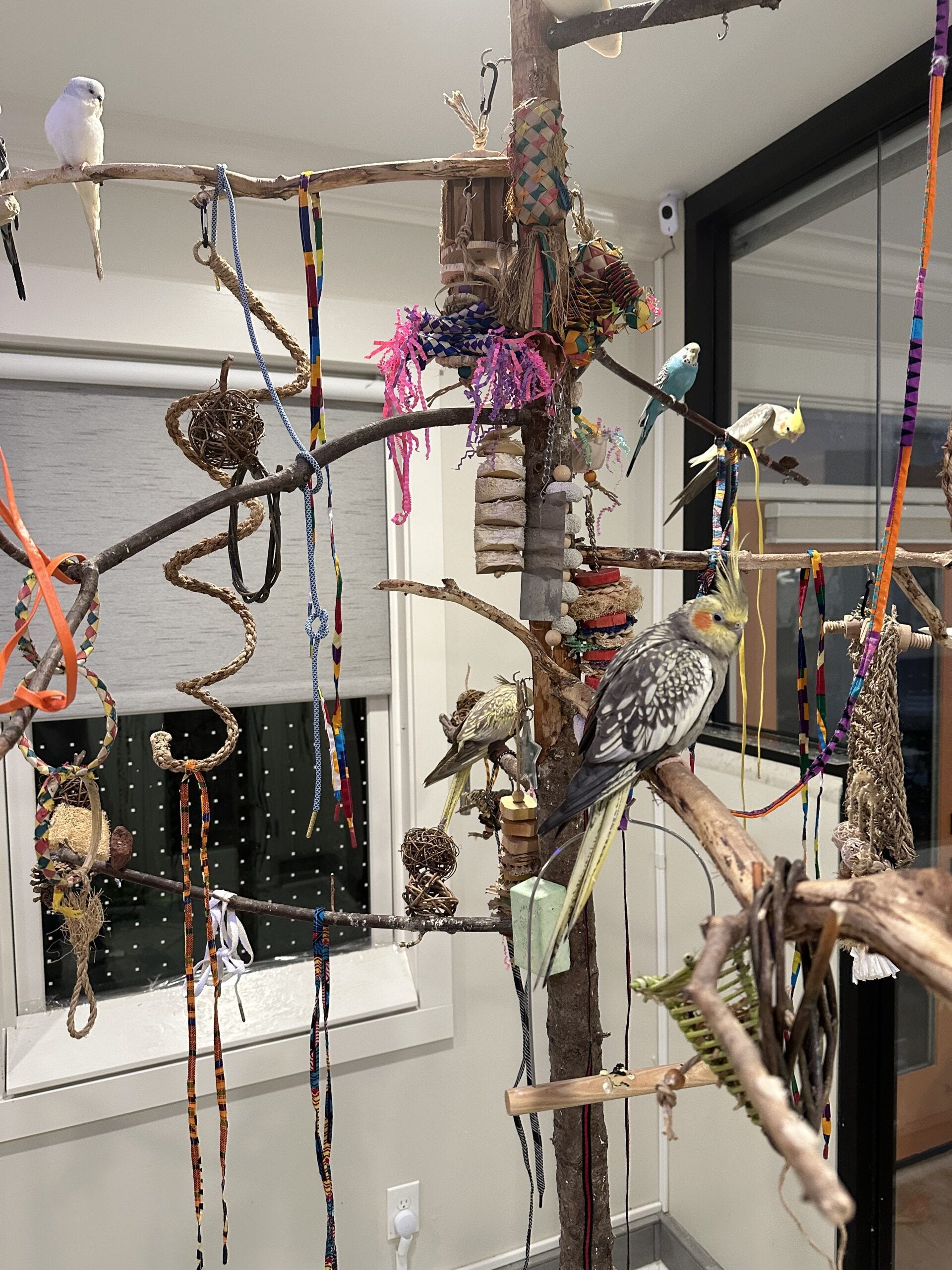 How to Build a Bird Perch Stand