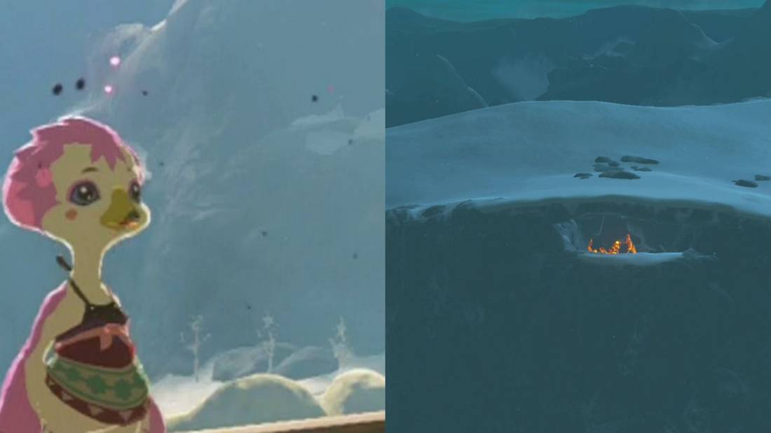 How to Complete the Bird in the Mountains in Botw