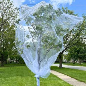 How to Cover Fruit Trees With Bird Netting