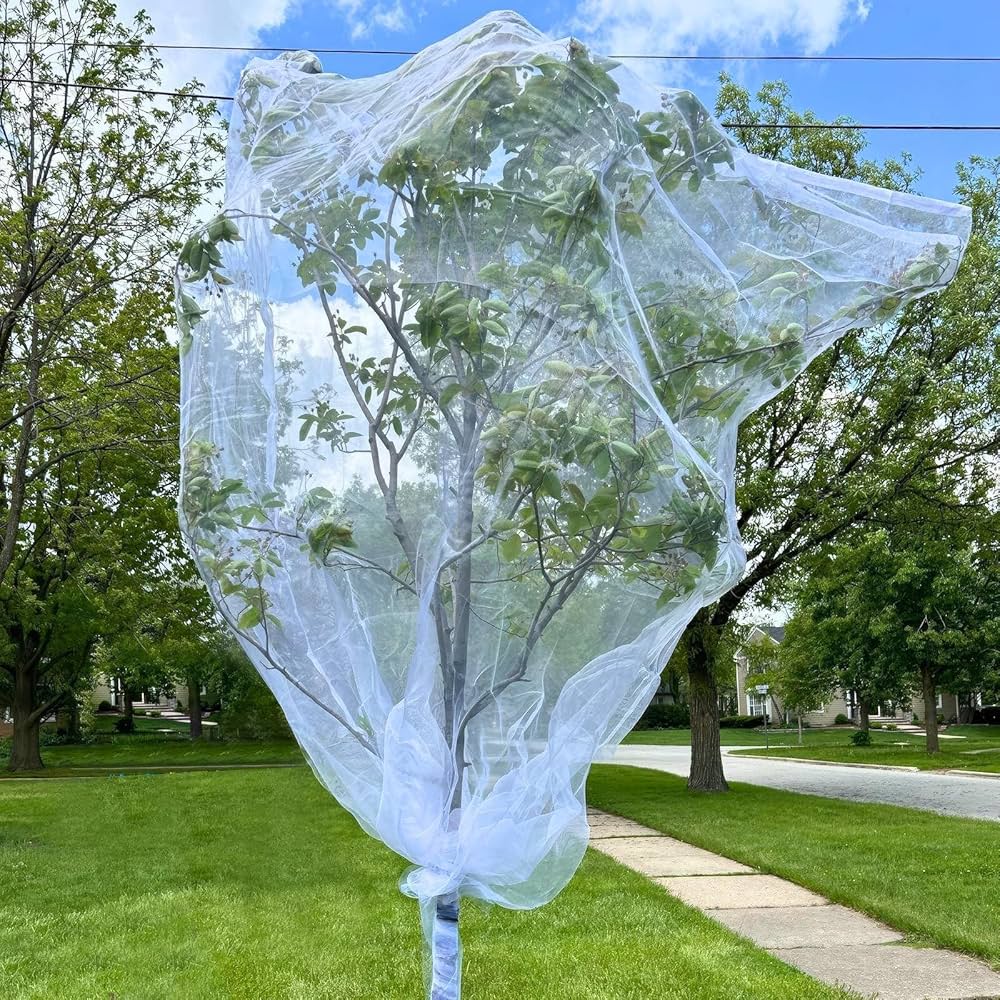 How to Cover Fruit Trees With Bird Netting