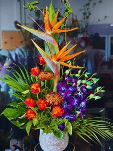 How to Cut Bird of Paradise Flowers for Vase