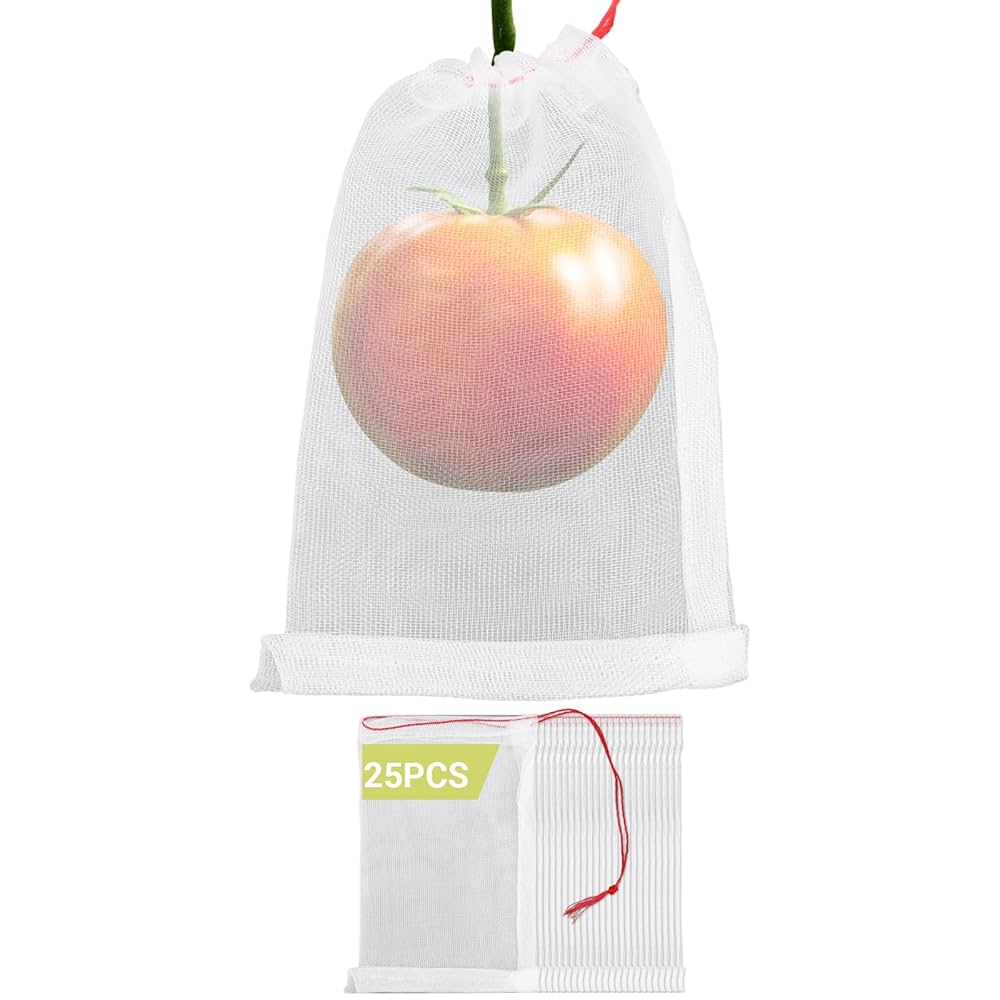 How to Deter Apple Fruits Eaten by Bird