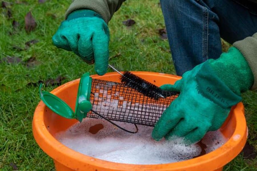 How to Disinfect a Bird Feeder