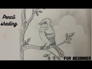How to Draw a Desert Bird