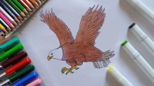How to Draw a Desert Eagle Bird