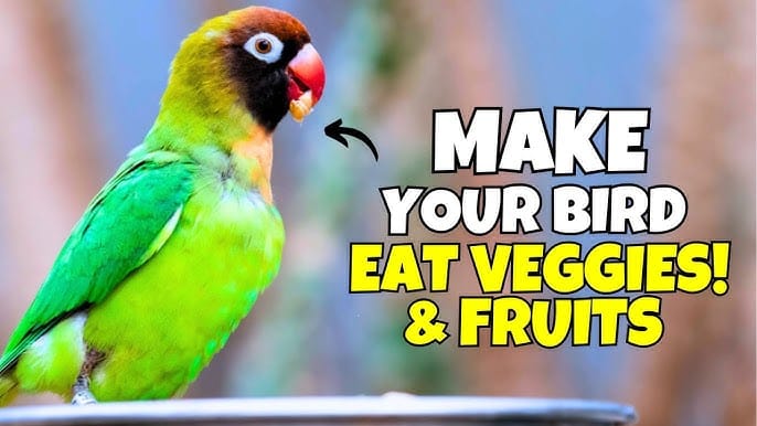 How to Have Your Bird Eat Fruits