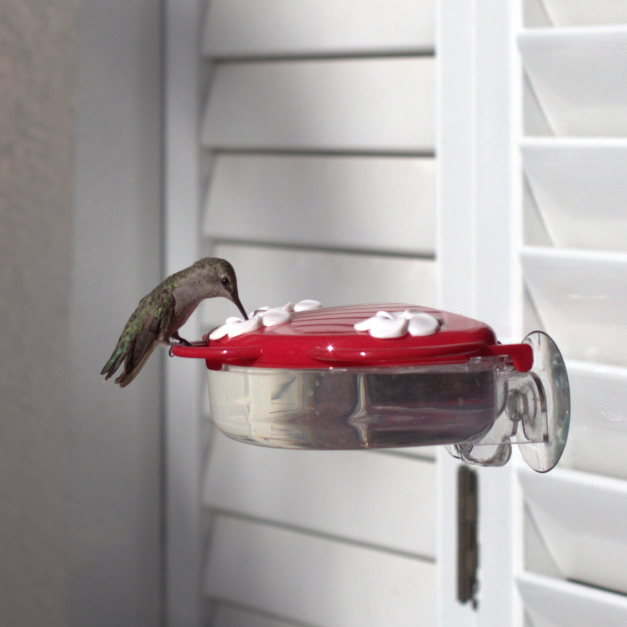 How to Install Window Bird Feeder
