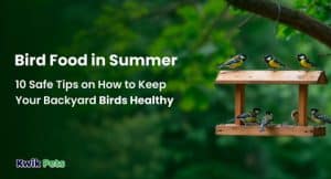 How to Keep Birds Healthy