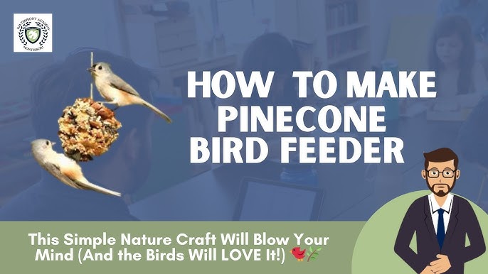 How to Make a Bird Fruit Feeder