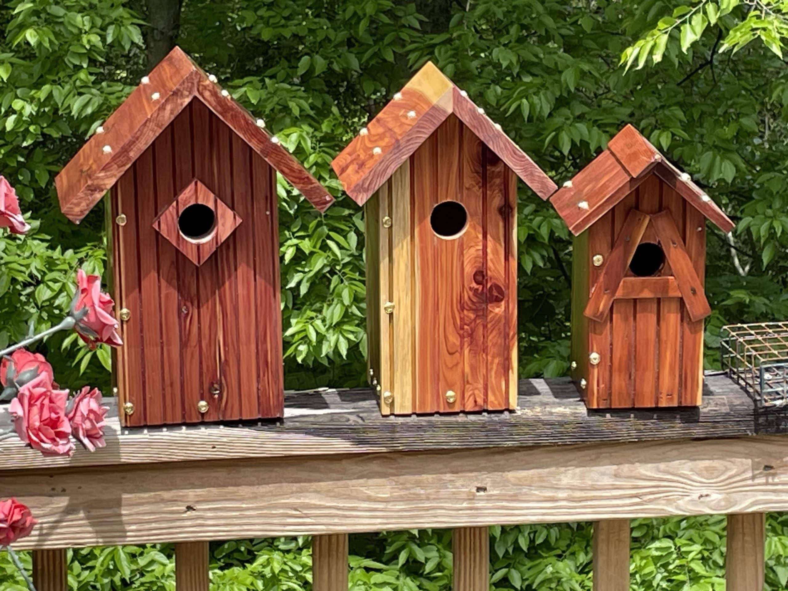 How to Make a Blue Bird House