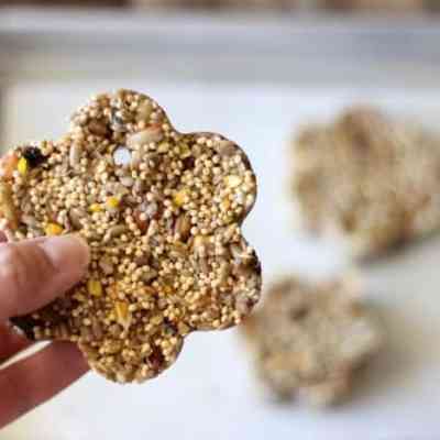 How to Make Bird Seed Blocks
