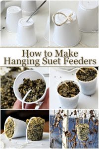 How to Make Bird Suet from Beef Fat