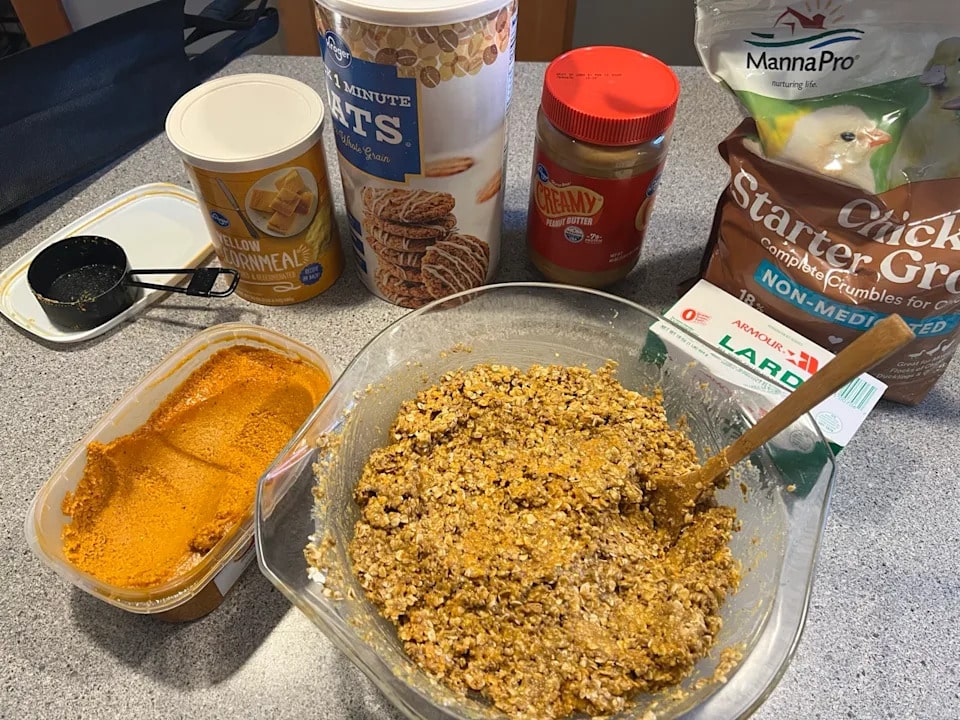 How to Make Peanut Butter Bird Seed Balls