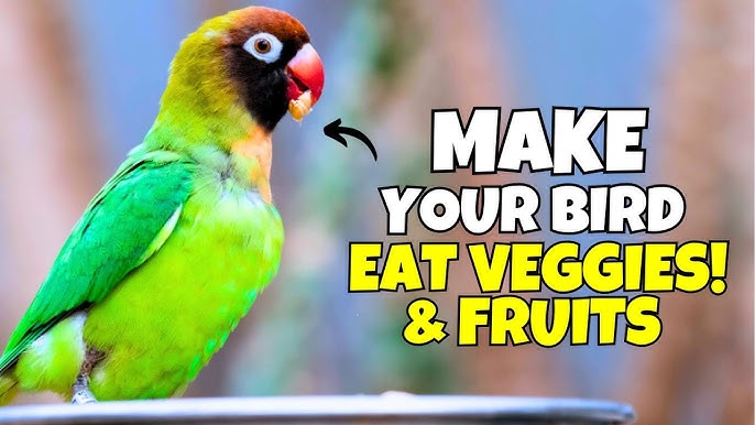 How to Make Your Bird Eat Fruit